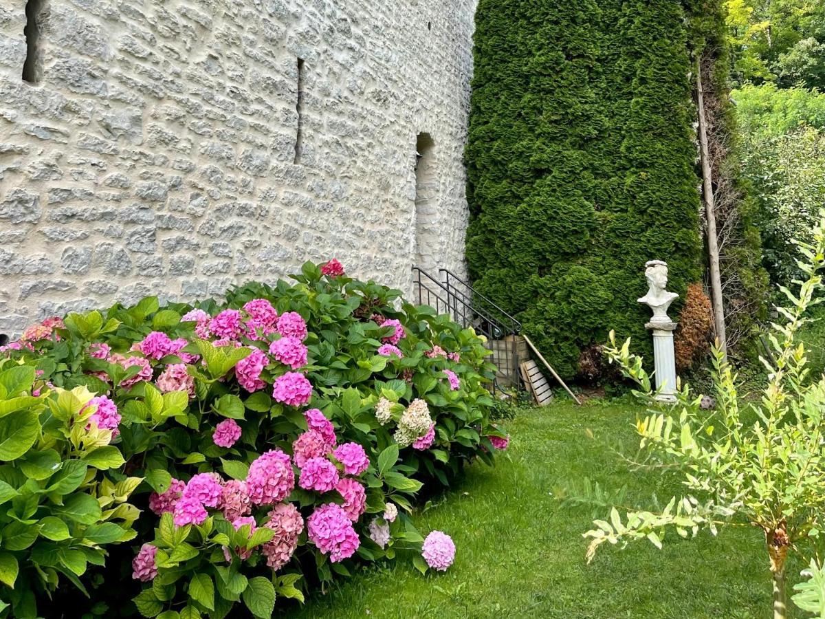 Manoir Saint-Pierre Bed & Breakfast Villersexel Екстериор снимка